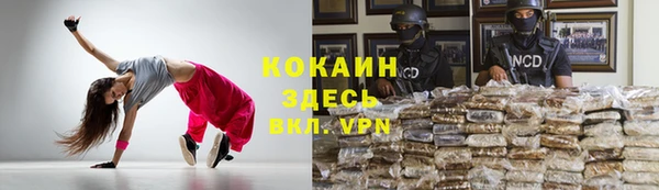 шишки Беломорск