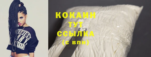 шишки Беломорск