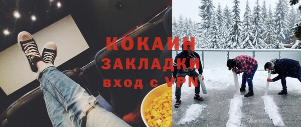 шишки Беломорск