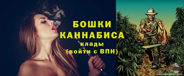 шишки Беломорск