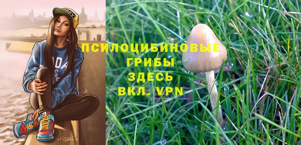 шишки Беломорск