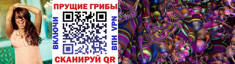 Купить где  Куйбышев  Галлюциногенные грибы прущие грибы 